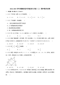 2024-2025学年安徽省宿州市泗县九年级（上）期中数学试卷（含解析）