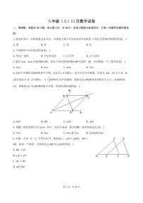 广州九校联考2024年上学期11月月考八年级数学试卷+答案