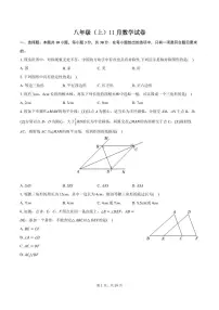广州九校联考2024年上学期11月月考八年级数学试卷+答案