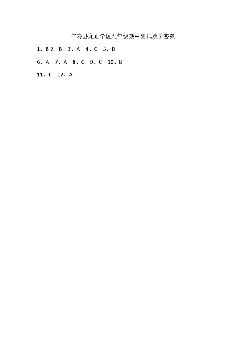 仁寿县龙正学区九年级期中测试数学答案第1页