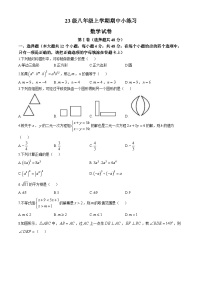 四川省眉山市东坡区实验初级中学2024-2025学年八年级上学期11月期中考试数学试题(无答案)