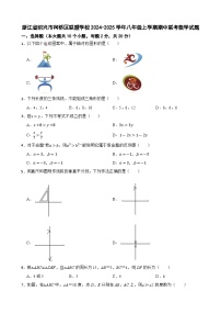 浙江省绍兴市柯桥区联盟学校2024-2025学年八年级上学期期中联考数学试题-A4