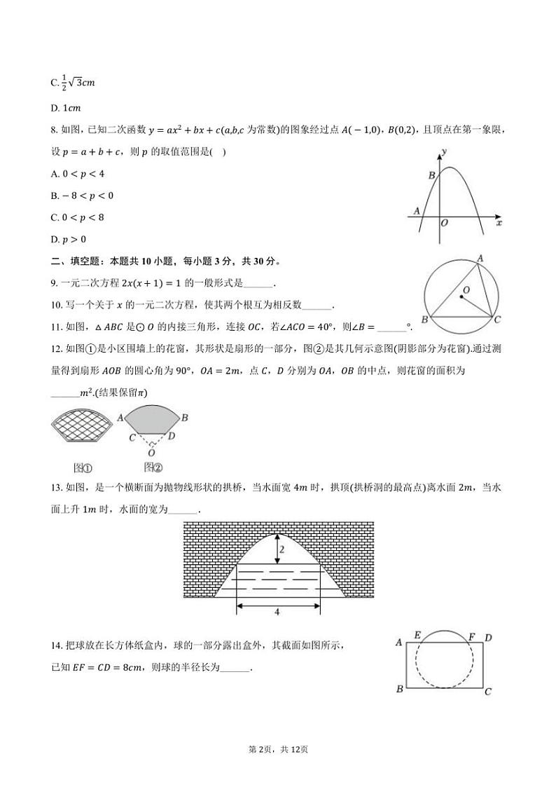 2024~2025学年江苏省徐州市睢宁县九年级(上)期中数学试卷(含答案)第2页