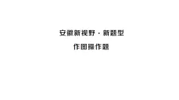 初中数学新沪科版七年级上册第4章 几何图形初步安徽新视野 新题型 作图操作题课堂作业课件2024秋