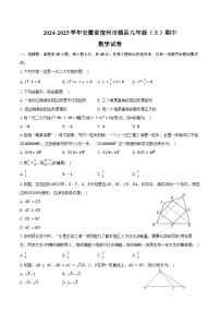 2024-2025学年安徽省宿州市泗县九年级（上）期中数学试卷（含答案）