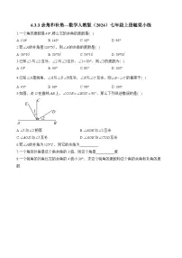 初中数学人教版（2024）七年级上册4.3.3 余角和补角巩固练习