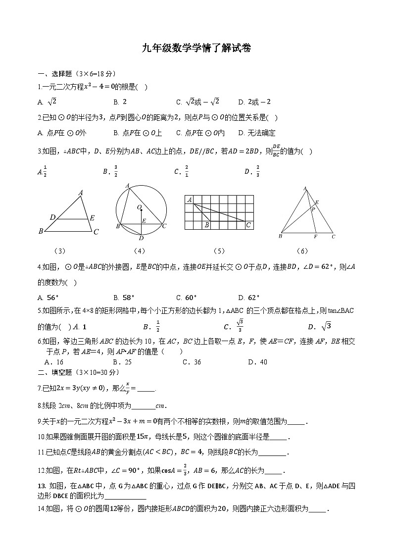 江苏省泰州市姜堰区城西实验学校2024-2025学年九年级上学期第二次月考数学试题第1页