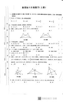广东省汕头市潮阳区贵屿中学2024-2025学年八年级上学期第二次月考数学试卷