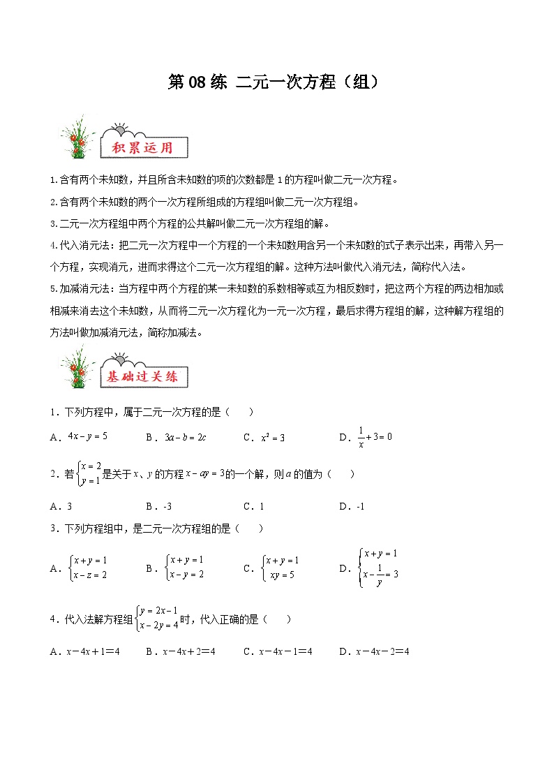 (暑假)苏教版数学七年级分层作业第08练 二元一次方程（组）（2份，原卷版+解析版）