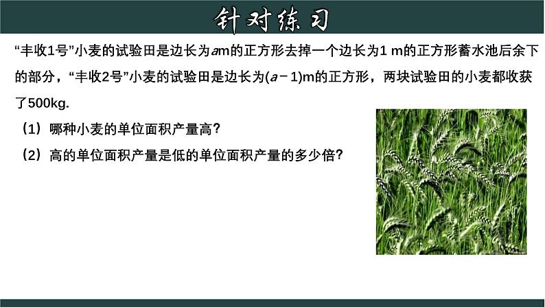 浙教版数学七年级下册同步教学课件5.3.2 分式的乘除(2)第8页