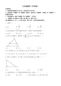2024～2025学年安徽省六安市裕安区九年级(上)12月月考数学试卷(含答案)