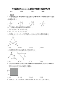 广东省惠州市2024-2025八年级上学期期中考试数学试卷(含答案)