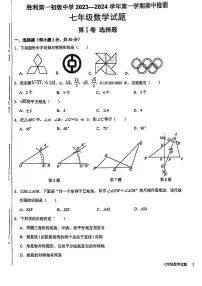 山东省东营市胜利第一初级中学2024—2025学年上学期七年级期中考试数学试题