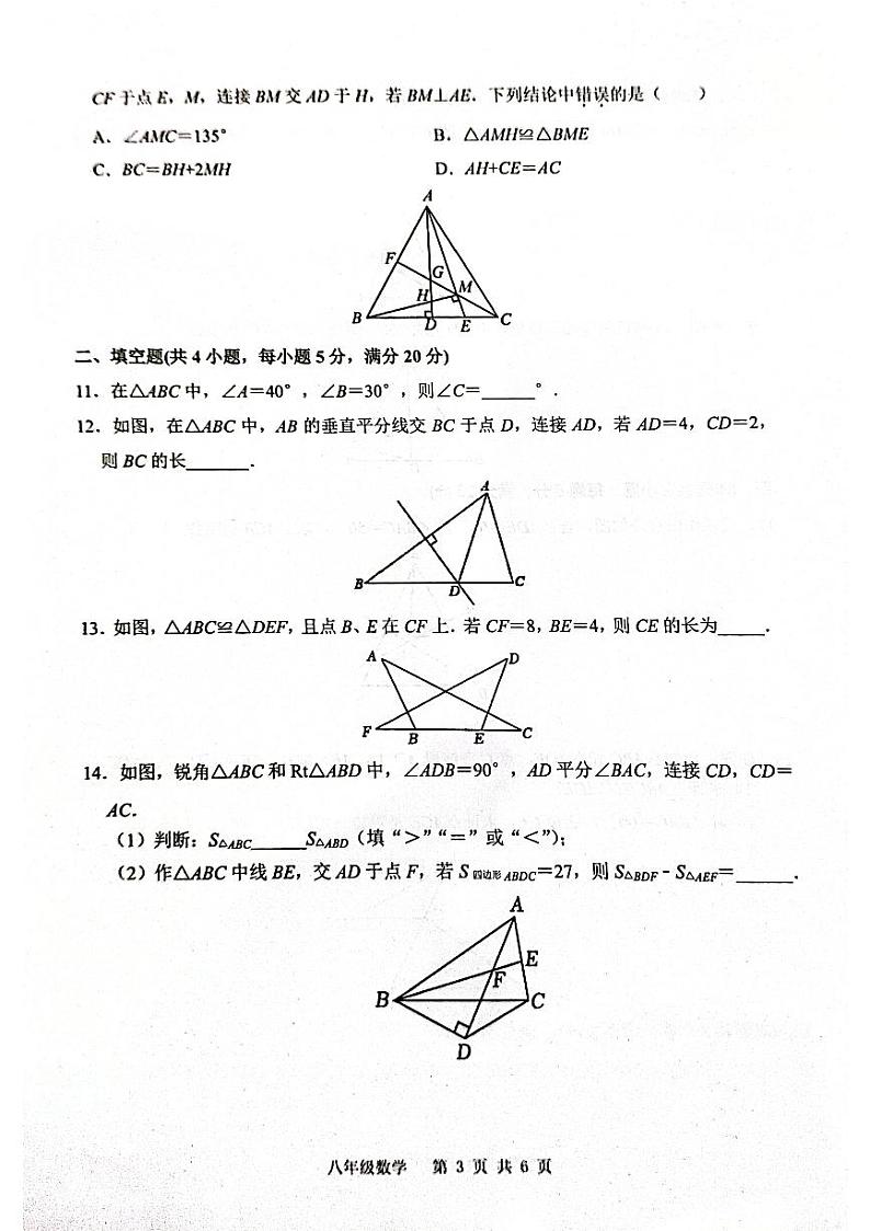 安徽省合肥市庐江县2024-2025学年八年级上学期11月期中考试数学试题第3页