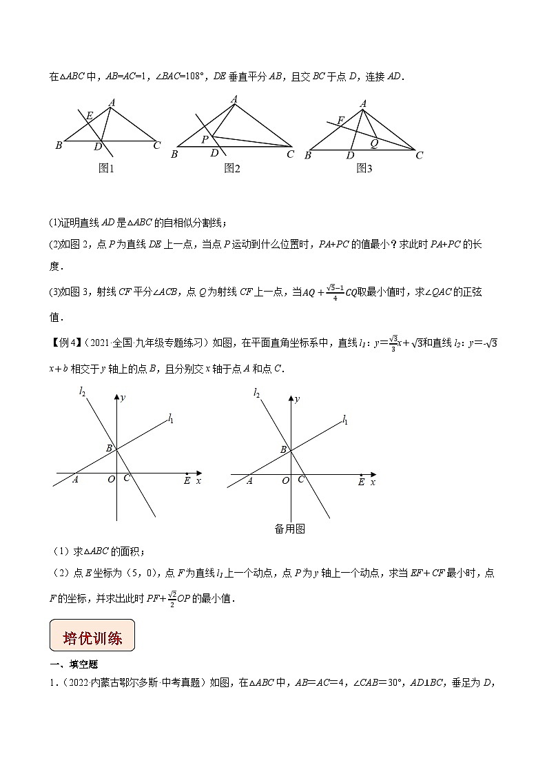 中考数学二轮复习压轴题培优训练专题10胡不归问题(原卷版)第3页