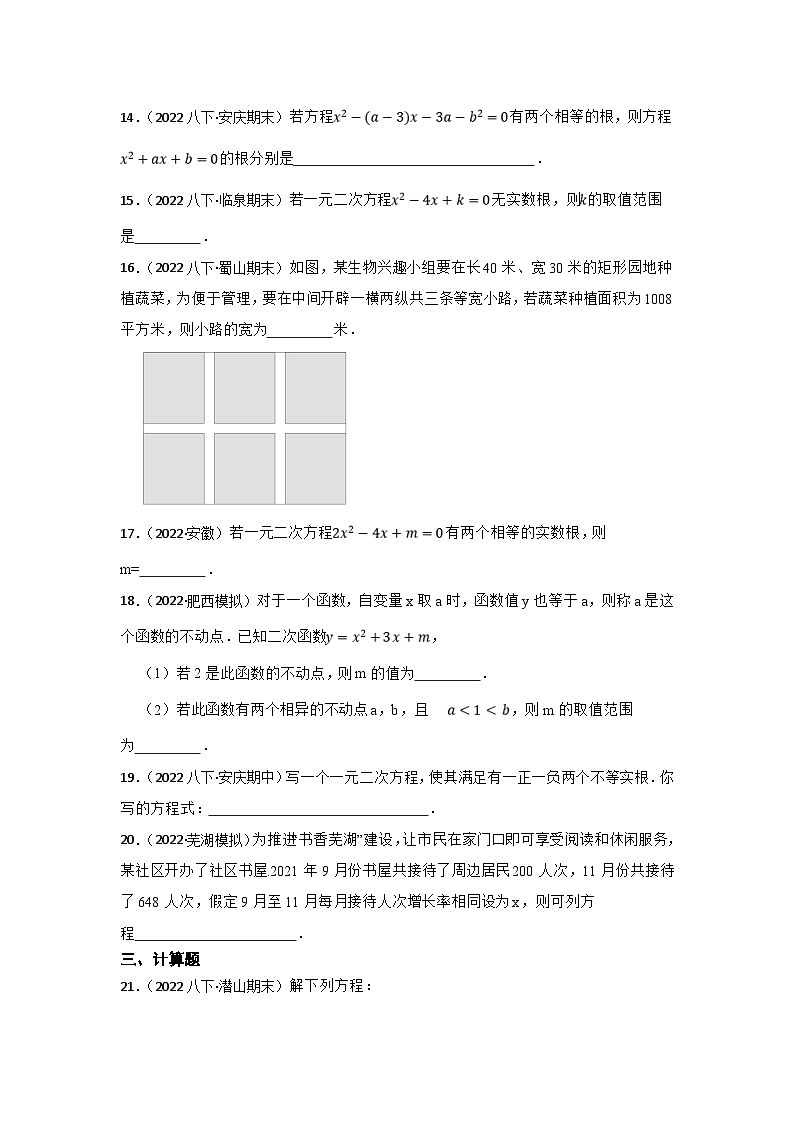 (安徽版)中考数学一轮复习专题训练专题9 一元二次方程(含答案)第3页