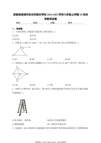 2024～2025学年安徽省芜湖市无为市部分学校八年级(上)10月月考数学试卷(含详解)