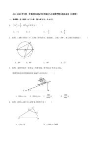 浙江杭州西湖区2024-2025学年上学期九年级数学期末模拟试卷+答案