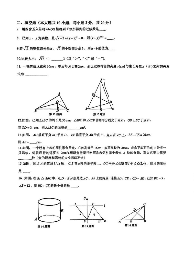 2024~2025学年江苏省南京市鼓楼区求真中学12月月考八年级(上)数学试卷(无答案)第2页