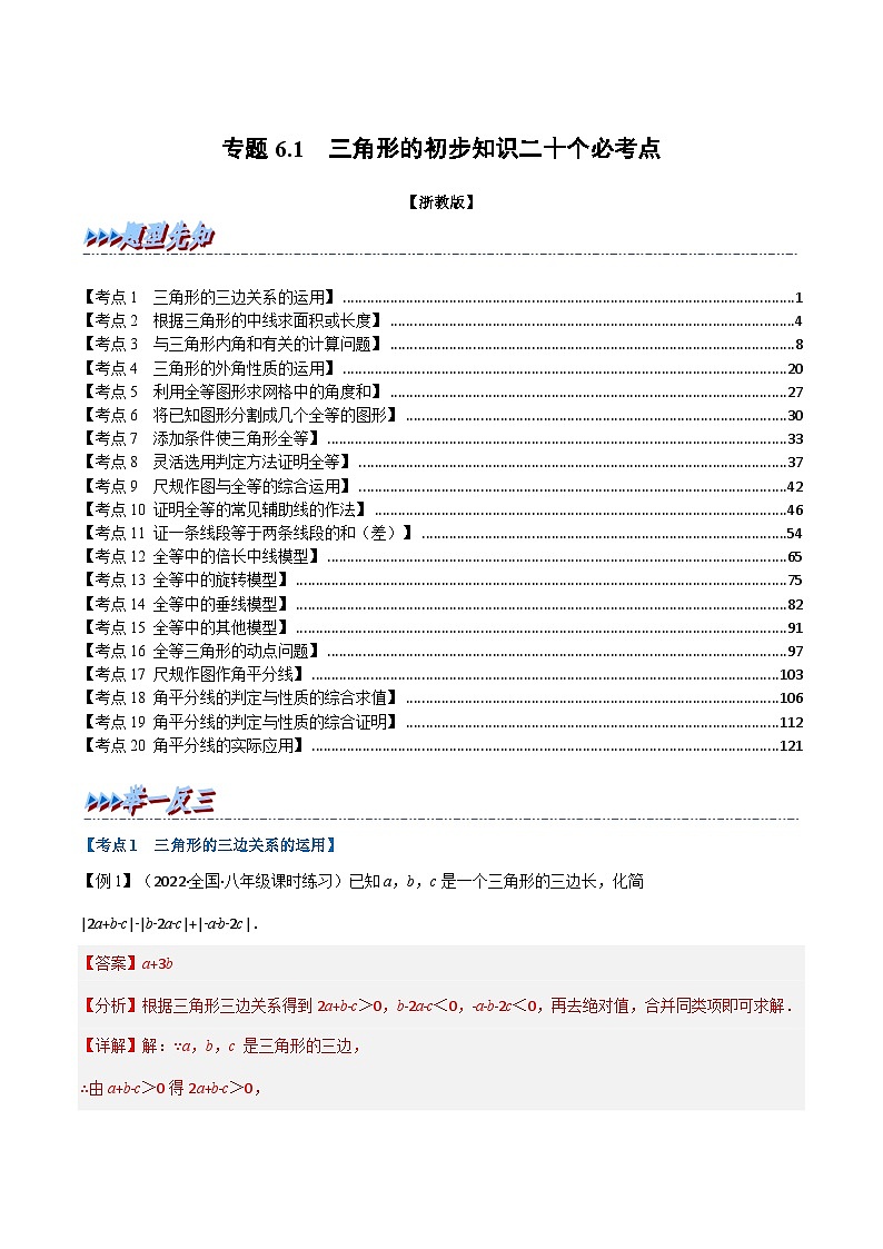 浙教版数学八上题型分类训练专题6.1期末专项复习之三角形的初步知识二十个必考点(解析版)第1页