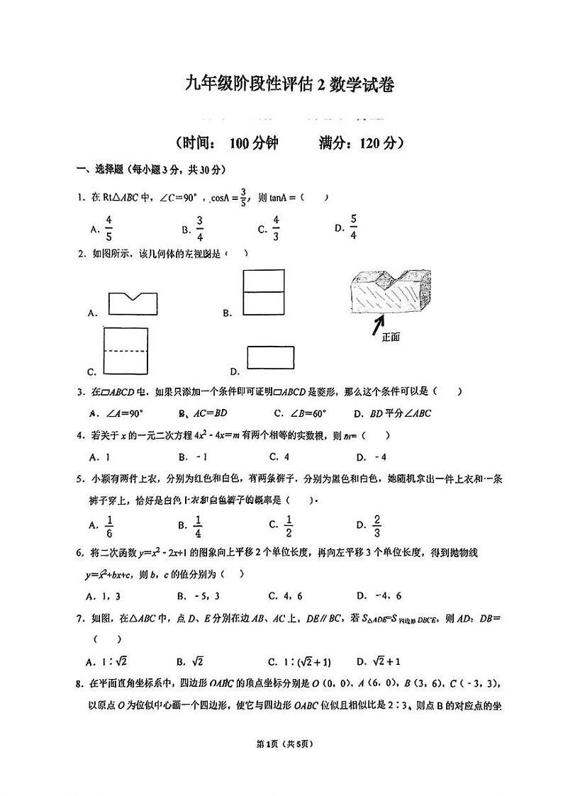 河南省实验中学2024—2025学年上学期九年级第二次月考数学试卷第1页