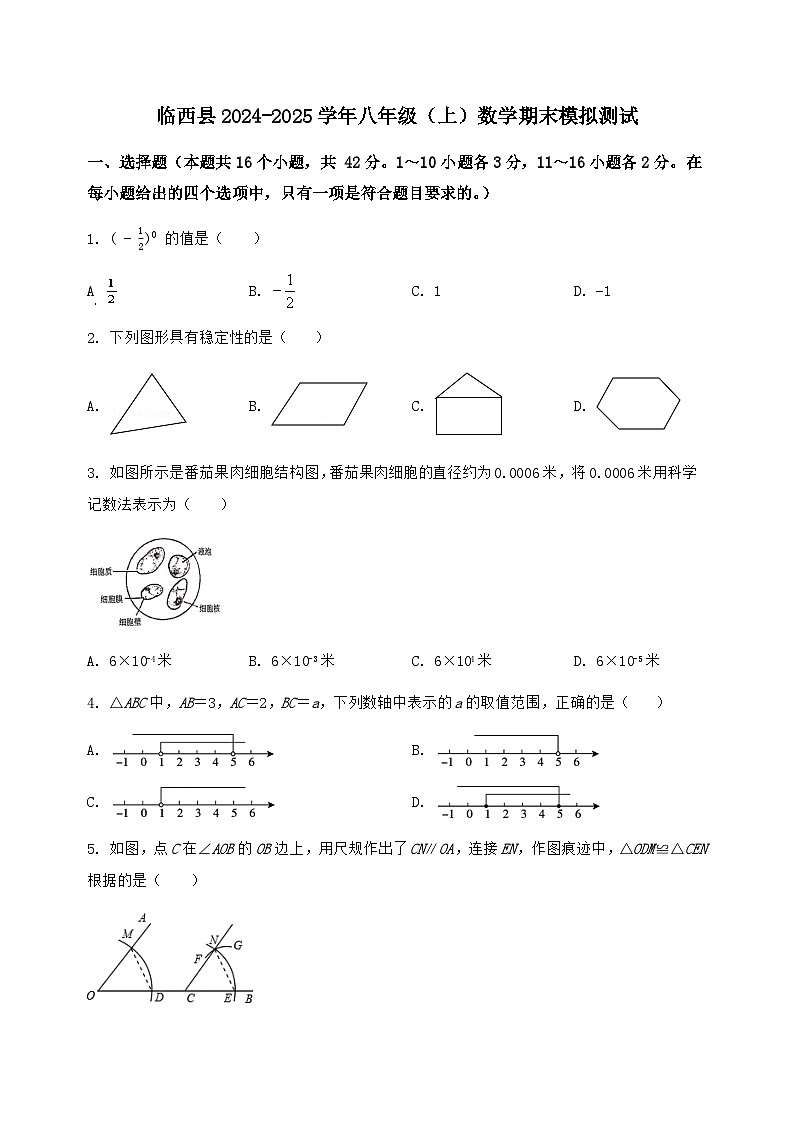 河北省临西县2024-2025学年八年级(上)数学期末模拟测试(含答案及详解)第1页