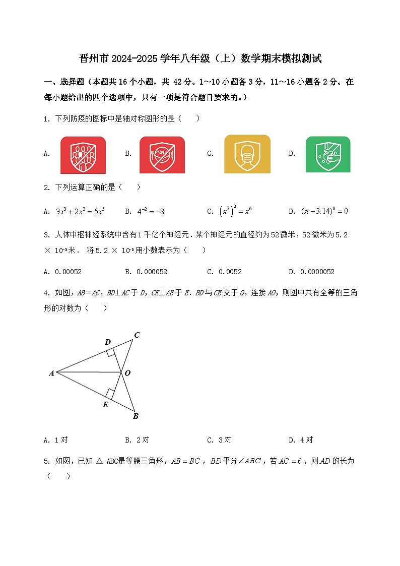 河北省晋州市2024-2025学年八年级(上)数学期末模拟测试(含答案及详解)第1页