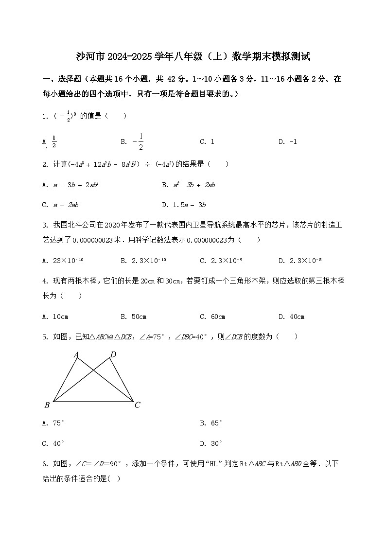 河北省沙河市2024-2025学年八年级(上)数学期末模拟测试(含答案及详解)第1页
