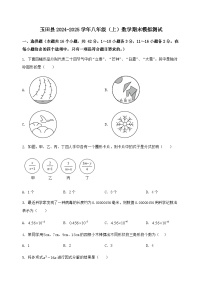 河北省玉田县2024-2025学年八年级（上）数学期末模拟测试（含答案及详解）