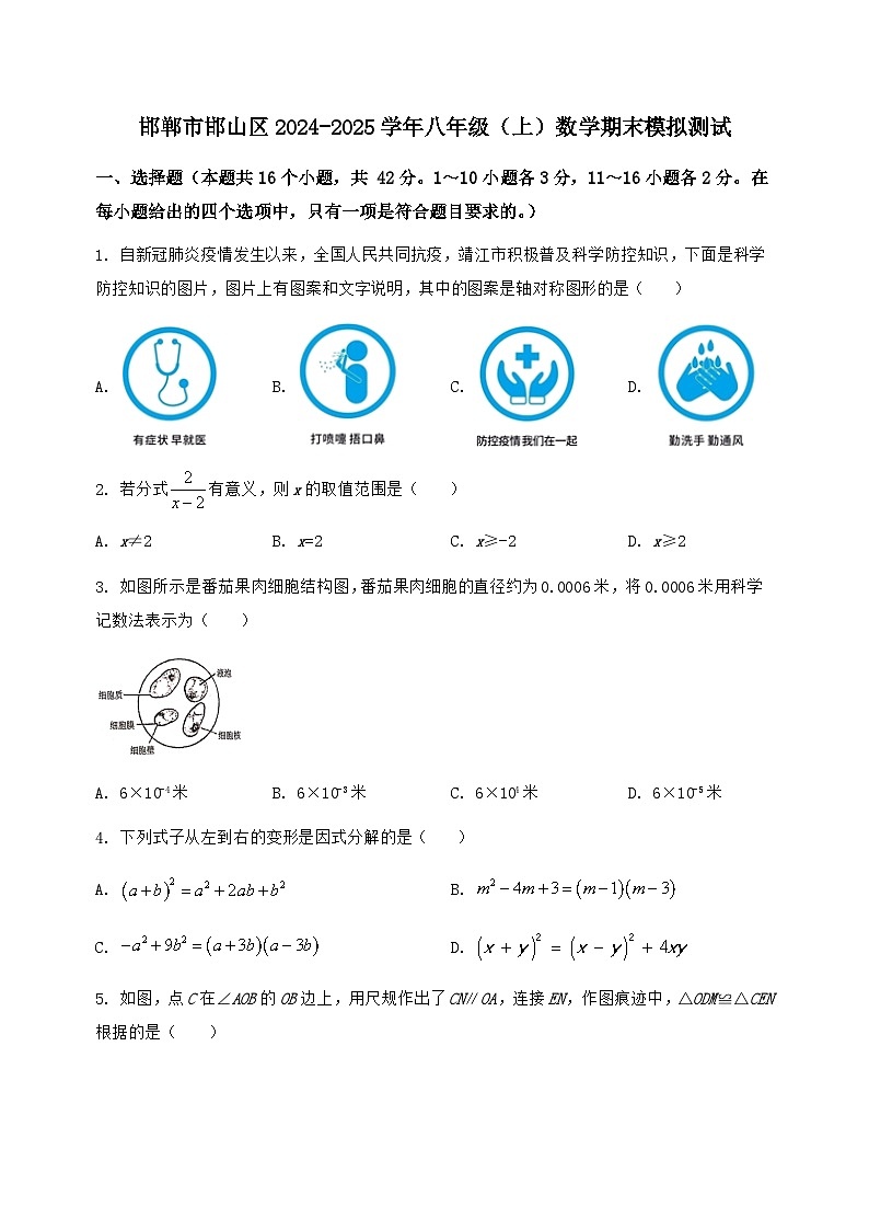 河北省邯郸市邯山区2024-2025学年八年级(上)数学期末模拟测试(含答案及详解)第1页