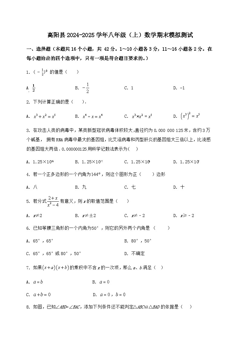河北省高阳县2024-2025学年八年级(上)数学期末模拟测试(含答案及详解)第1页