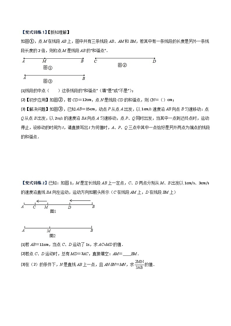 北师大版数学七上期末压轴题培优训练专题09 线段上的动点问题(原卷版)第3页
