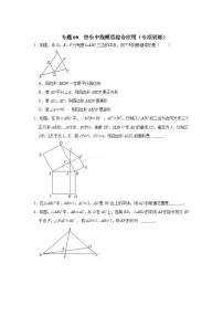 中考数学二轮培优训练专题09 倍长中线模型综合应用(专项训练)(2份,原卷版+解析版)