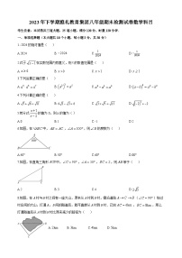 长沙市雅礼教育集团2023-2024学年八年级上学期期末数学试题