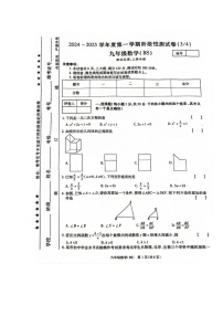 河南省平顶山市等2地2024-2025学年九年级上学期12月月考数学试题