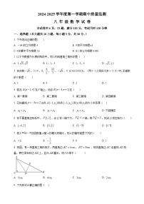 广东省茂名市茂南区部分学校2024-2025学年八年级上学期期中考试数学试题(原卷版)-A4