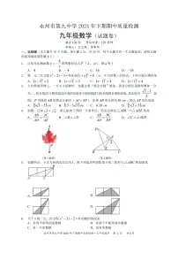 湖南省永州市第九中学2024-2025学年九年级上学期期中考试数学试题