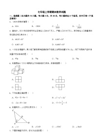广东省深圳市坪山区2024学年七年级上学期期末数学试题【含答案】