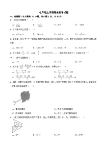浙江省绍兴市诸暨市2024年七年级上学期期末数学试题【含答案】