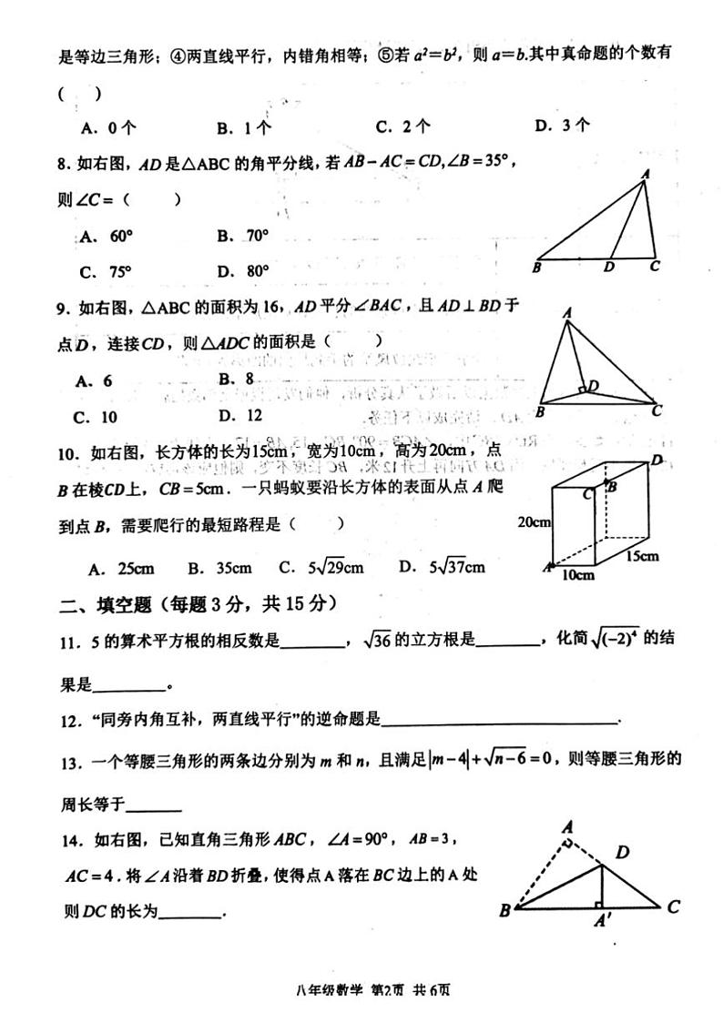 2024~2025学年河南省新乡市原阳县八年级(上)12月月考数学试卷(含答案)第2页