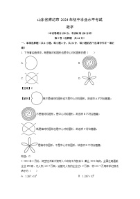 2024年潍坊市中考真题数学试卷(解析版)