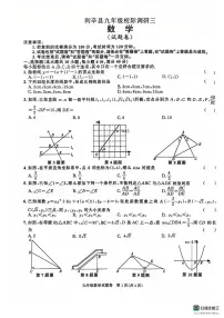 安徽省亳州市利辛县校际联考2024-2025学年九年级上学期第三次月考数学试卷