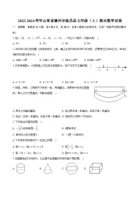 山东省德州市临邑县2023-2024学年七年级上学期期末考试数学试卷(含解析)