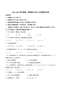 广东省茂名市化州市2023-2024学年八年级上学期期末考试数学试卷(含答案)