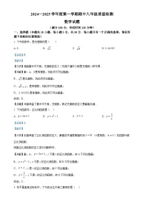 福建省宁德市福鼎市2024-2025学年八年级上学期11月期中考试数学试题（解析版）-A4