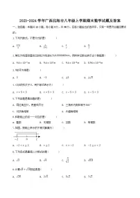 2023-2024学年广西北海市八年级上学期期末数学试题及答案