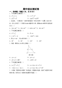 期中综合测试卷(试卷) -2024-2025学年北师大版七年级数学下册