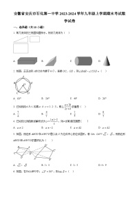安徽省安庆市石化第一中学2023-2024学年九年级上学期期末考试数学试卷（原卷版）-A4