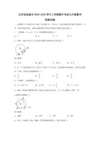江苏省盐城市2024-2025学年上学期期中考试九年级数学检测试题（含答案）