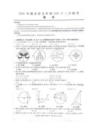 湖北省G20 2024-2025学年上学期九年级十二月联考数学试题